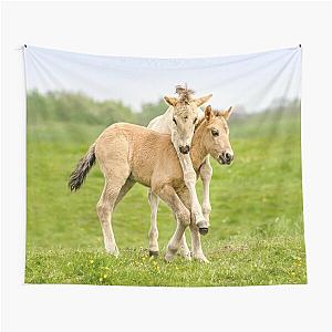 Funny Konik foals playing together in spring Tapestry