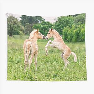 Funny Haflinger foals playing and rearing Tapestry