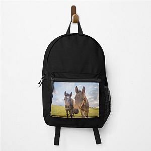 two curious foals, baby horses, colt & filly Backpack