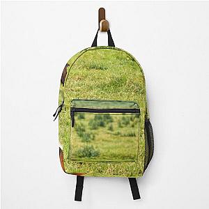 two foals lying on pasture nature scene Backpack