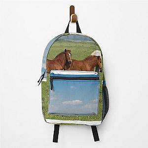 white horse and two brown foals in pasture Backpack