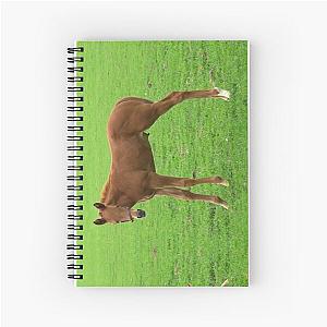 Twin Foals Spiral Notebook