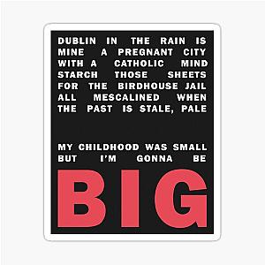 Big Fontaines DC Sticker