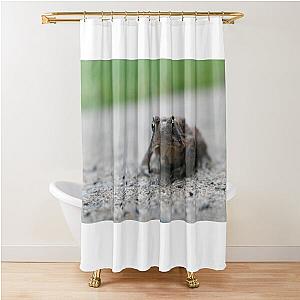 Frogger Shower Curtain