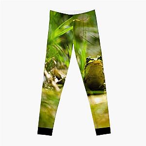 Frogger Leggings