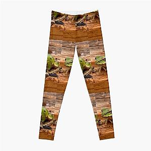 Frogger Leggings