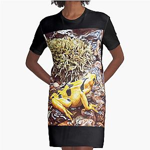 Frogger Graphic T-Shirt Dress