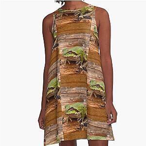 Frogger A-Line Dress