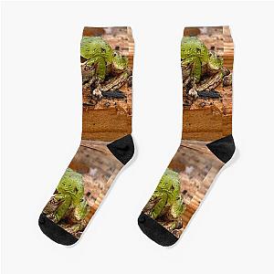 Frogger Socks