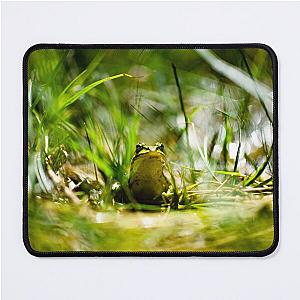 Frogger Mouse Pad