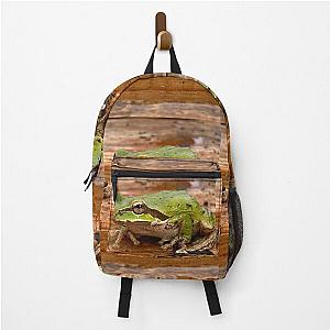 Frogger Backpack