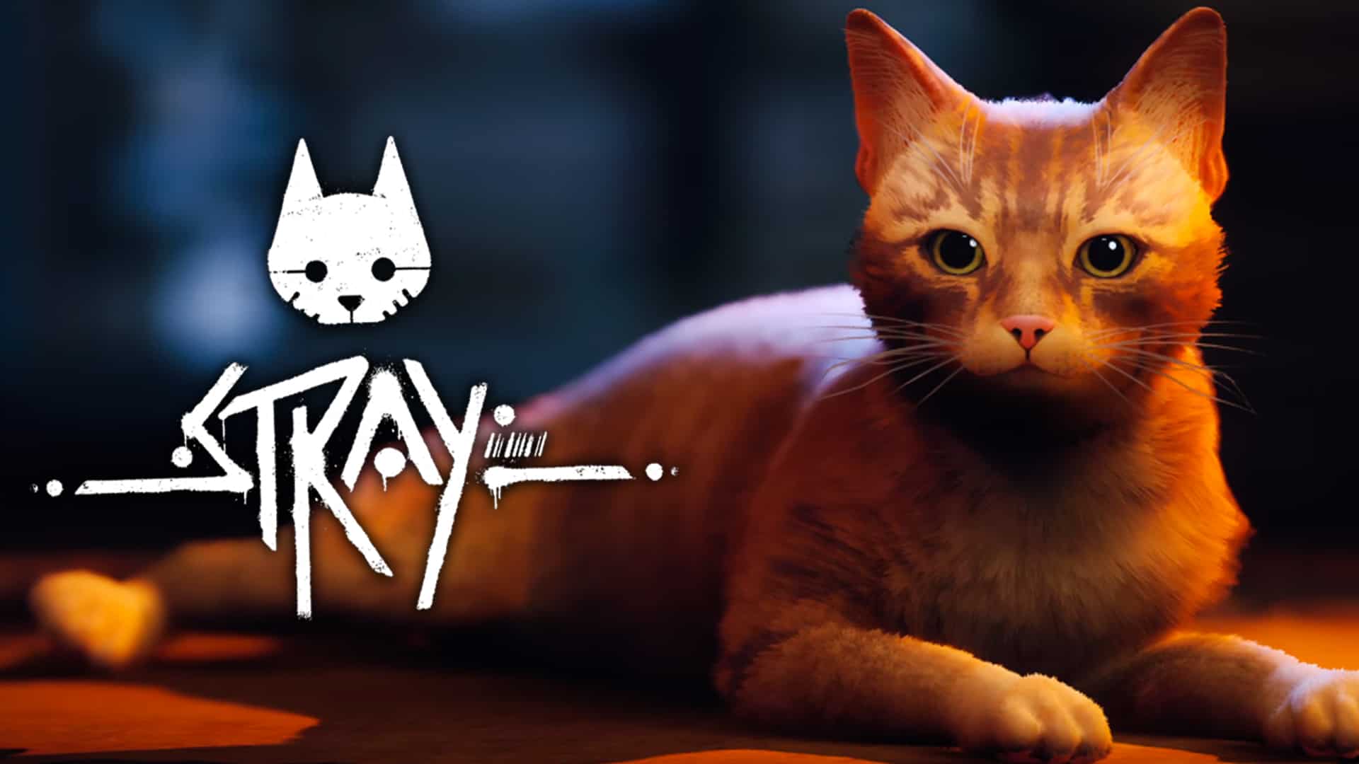 Strays Unique Gameplay Mechanics What Makes It Stand Out in the Indie Game Scene