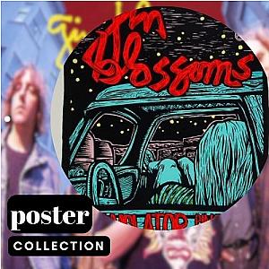 Gin Blossoms Posters