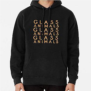 Glass Animals Pullover Hoodie