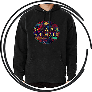 Glass Animals Hoodies