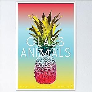 Glass Animals Tour