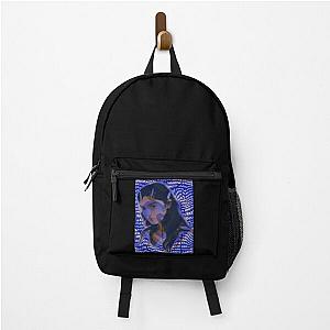 For Men Women Aesthetic Kawaii Vintage Gracie Abrams Vintage Classic Unisex Backpack RB1306