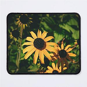 A beautiful yellow flower on a sunny day Mouse Pad