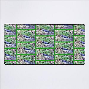 Grounded Bluejay Desk Mat