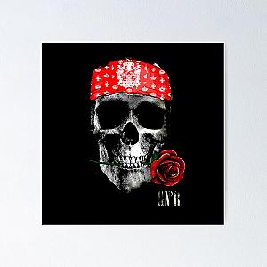 Skull art   Guns N roses Popular Poster RB1911