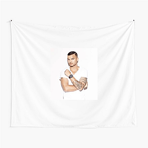 Music Visionary Guy Sebastian Guy Sebastian Tapestries