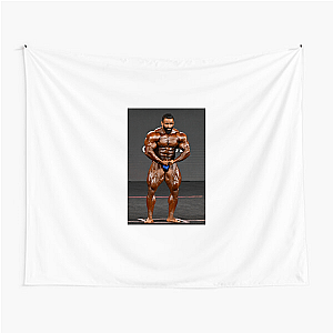 No Pain, Just Hadi Choopan Hadi Choopan Tapestries