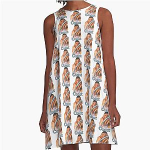 HAILEE Steinfield -  A-Line Dress