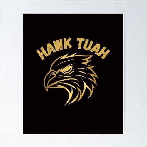 hawk tuah Poster