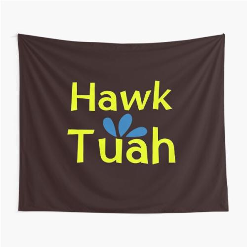 Hawk Tuah Tapestry