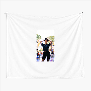 Hannah Stocking Content Creator Pro Hannah Stocking Tapestries