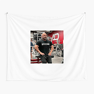 Champion Maker In Bodybuilding Hany Rambod Tapestries