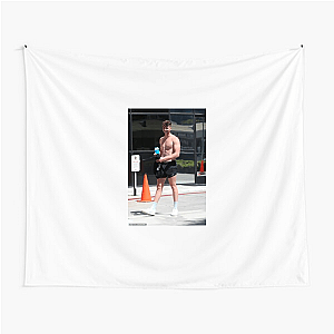 Harry Jowsey My Favorite Reality TV King Harry Jowsey Tapestries