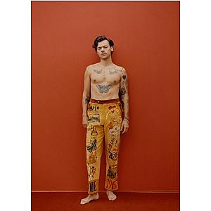 Harry Styles Posters – Art Pant Harry Styles Poster