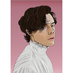Harry Styles Posters – Harry Styles Fan Art 2D Poster