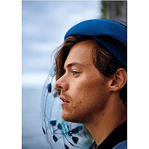 Harry Styles Posters – Feeling The Beach Vibes Harry Styles Poster