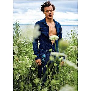 Harry Styles Posters – Flowers Forest Harry Styles Poster