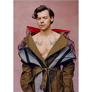 Harry Styles Posters – Red Carpet Outfit Vibes Harry Styles Poster