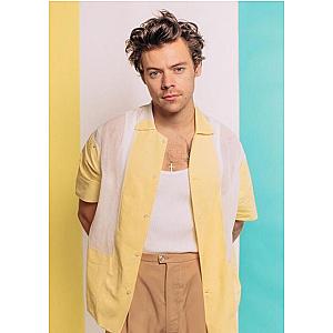 Harry Styles Posters – Summer Vibes Harry Styles Poster