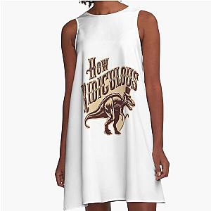 How Ridiculous A-Line Dress