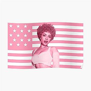 Ice Spice Pink American Flag Poster Poster RB1608