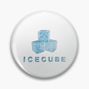 Ice Cube and text Illustration Pin