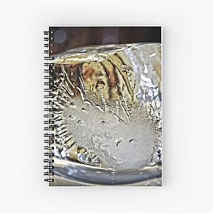 Ice Cube - 2 Spiral Notebook