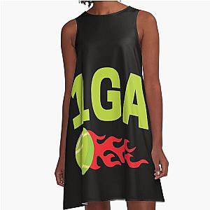Iga Swiatek A-Line Dress