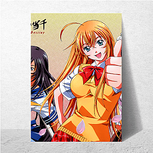 Power = Pretty + Punchy Ikki Tousen Posters