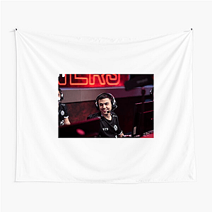 Imperialhal Limited Collection Imperialhal Tapestries