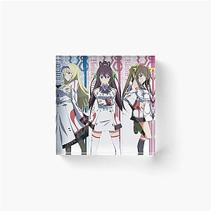 Infinite Stratos 3 Acrylic Block