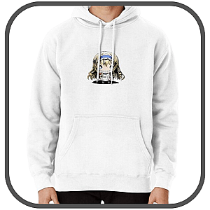 Infinite Stratos Hoodies