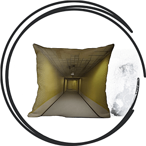 Inside The Backrooms Pillows Cover