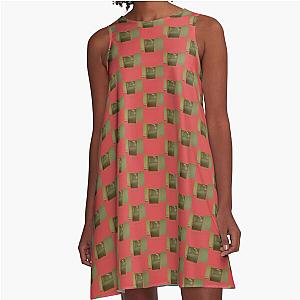 The Backroom A-Line Dress