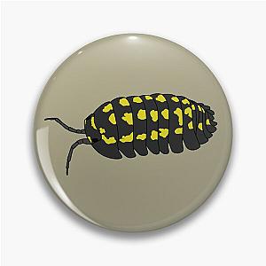 A. gestroi isopod Pin